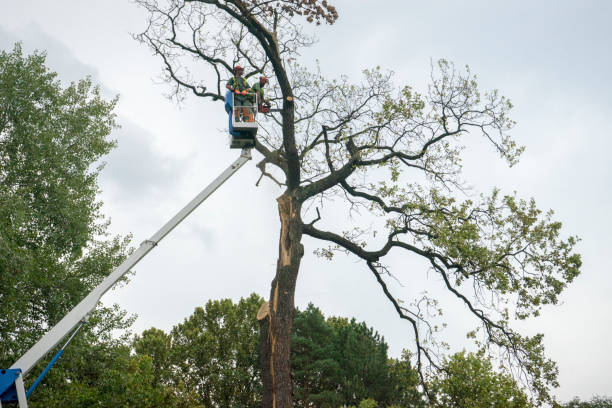 Landscape Design and Installation in Burgettstown, PA